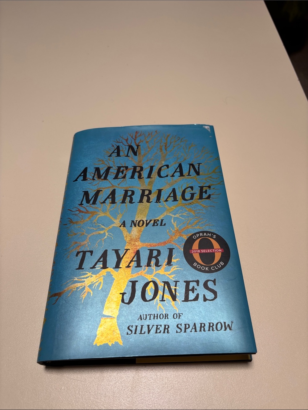 - An American Marriage (Blue)